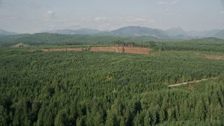 AX48_047 - 5K aerial stock footage of flying over evergreen trees to approach a wide clear cut area, King County, Washington