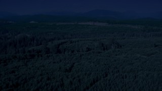 AX48_047_DFN - 4K day for night color corrected aerial stock footage of flying over evergreen trees to approach a wide clear cut area, King County, Washington