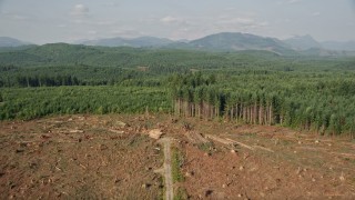 AX48_048 - 5K aerial stock footage approach and fly over a logging clear cut area in an evergreen forest, King County, Washington
