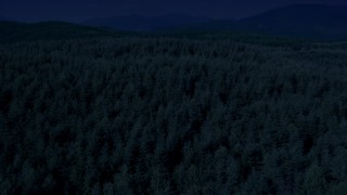 AX48_050_DFN - Aerial stock footage of 4K day for night color corrected aerial footage of evergreen trees in a vast forest in King County, Washington