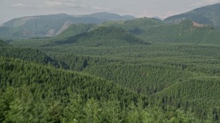 AX48_052 - 5K stock footage aerial video fly over evergreen trees to reveal a green hill in King County, Washington