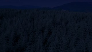 AX48_052_DFN - 4K day for night color corrected aerial stock footage of evergreen trees, reveal a green hill in King County, Washington