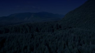 AX48_056_DFN - Aerial stock footage of 4K day for night color corrected aerial footage of evergreen forest to reveal a road in King County, Washington