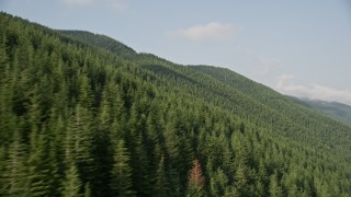 AX48_060 - 5K aerial stock footage of flying by mountain slopes covered with evergreen trees in the Cascade Range, Washington