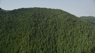 AX48_062 - 5K aerial stock footage flyby evergreen trees covering a mountain ridge in the Cascade Range, Washington