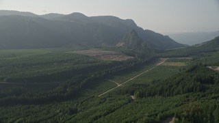 AX48_067 - 5K stock footage aerial video flyby a forest road through newer forest growth area near the Cascade Range, King County, Washington