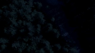 AX48_071_DFN - Aerial stock footage of 4K day for night color corrected aerial footage of a bird's eye view of a river and evergreen trees in King County, Washington