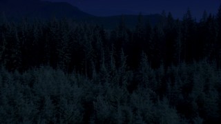 AX48_073_DFN - 4K day for night color corrected aerial stock footage of flying low over an evergreen forest, King County, Washington