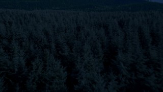 AX48_074_DFN - 4K day for night color corrected aerial stock footage of of flying low over evergreen trees, King County, Washington
