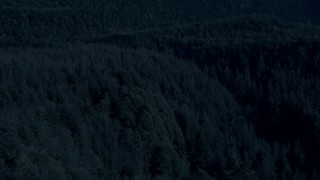AX48_075_DFN - 4K day for night color corrected aerial stock footage of a low altitude flight over the tops of evergreen trees in King County, Washington
