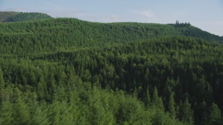AX48_076 - 5K aerial stock footage of flying over dense evergreen forest in King County, Washington