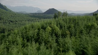 AX48_076E - 5K aerial stock footage of flying over dense evergreen forest in King County, Washington