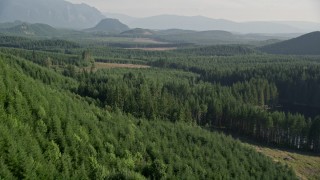 AX48_079 - 5K aerial stock footage fly over dense evergreen forest with a few clear cut logging areas in King County, Washington