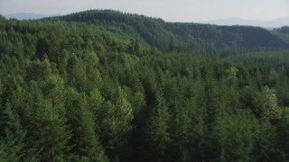 AX48_083 - 5K aerial stock footage of flying over an evergreen forest and approach a mountain ridge in the Cascade Range, Washington