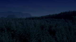 AX48_084_DFN - 4K day for night color corrected aerial stock footage of flying over and pan across evergreen forest on a mountain ridge in the Cascade Range, Washington