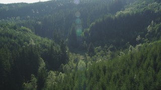 AX48_085 - 5K stock footage aerial video of evergreen forest at the base of a mountain in the Cascade Range, Washington