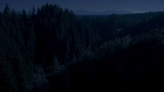 AX48_087_DFN - 4K day for night color corrected aerial stock footage of a group of tall evergreen trees in the Cascade Range, Washington