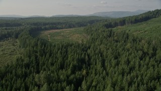 AX48_094 - 5K aerial stock footage fly over evergreen and pan across forest and clear cut areas, King County, Washington
