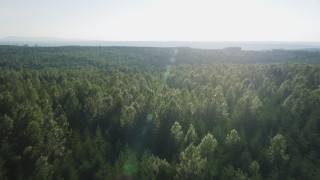 AX49_002 - 5K stock footage aerial video tilt from a bird's eye of evergreens to reveal deciduous trees in King County, Washington