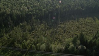 AX49_003 - 5K aerial stock footage of bird's eye view of a clearing and power lines, and evergreen trees in King County, Washington