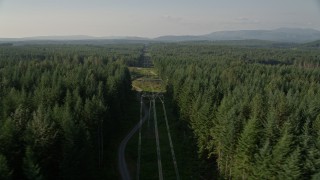 AX49_005 - 5K aerial stock footage flyby an evergreen forest to reveal a row of power lines, King County, Washington