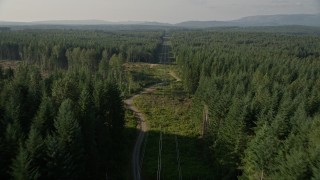 AX49_006E - 5K aerial stock footage approach and fly over a long row of power lines through an evergreen forest in King County, Washington