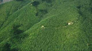 AX52_009E - 5K aerial stock footage of reverse view of evergreen forest on a mountain peak, reveal clear-cut areas in Thurston County, Washington