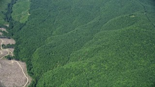AX52_011E - 5K aerial stock footage of reverse view of evergreen forests, and reveal a clear cut area, Thurston County, Washington