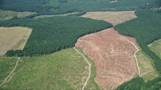 AX52_020 - 5K aerial stock footage of reverse view of evergreen forests and clear cut logging areas, Lewis County, Washington