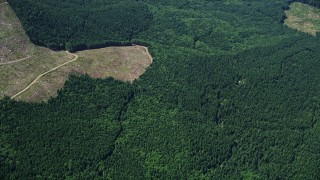 AX52_021E - 5K aerial stock footage of evergreen forest surrounding small clear cut areas, Lewis County, Washington