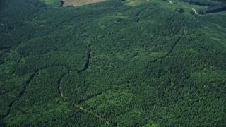 AX52_023E - 5K aerial stock footage of vast evergreen forests in Lewis County, Washington