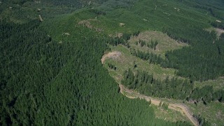 AX52_065 - 5K aerial stock footage of evergreen forests and clear cut logging areas, Skamania County, Washington