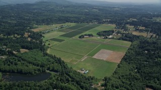 AX52_070 - 5K aerial stock footage of farms and farm fields surrounded by trees, La Center, Washington