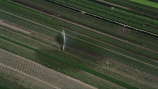 AX52_101E - 5K aerial stock footage of a sprinkler watering a crop field in Riverview, Oregon