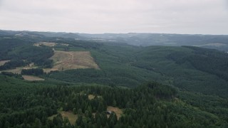 AX56_014E - 5K aerial stock footage of hillside logging areas surrounded by evergreen forest in Banks, Oregon