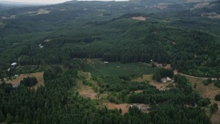 AX56_018 - 5K aerial stock footage of tracking a small crop field beside evergreen forest in Washington County, Oregon