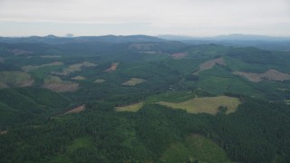 AX56_021 - 5K aerial stock footage of flying over evergreen forest and clear cuts areas in Washington County, Oregon