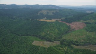 AX56_025 - 5K aerial stock footage of large logging areas in evergreen forest in Washington County, Oregon