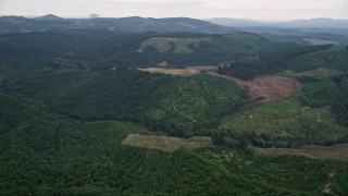 AX56_025E - 5K aerial stock footage of large logging areas in evergreen forest in Washington County, Oregon