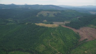 AX56_026 - 5K aerial stock footage of logging areas in an evergreen forest in Washington County, Oregon