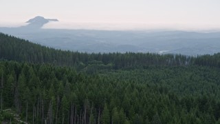AX56_033E - 5K aerial stock footage fly over a line of evergreens to approach distant forest in Clatsop County, Oregon
