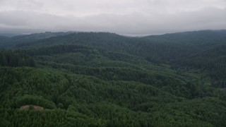 AX56_042E - 5K aerial stock footage fly over evergreen forest on hills in Clatsop County, Oregon