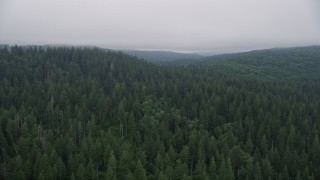 AX56_044E - 5K aerial stock footage fly over evergreen forest to approach a hillside clear cut area, Clatsop County, Oregon
