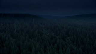 AX56_044_DFN - 4K day for night color corrected aerial stock footage of evergreen forest, reveal a hillside clear cut area in Clatsop County, Oregon