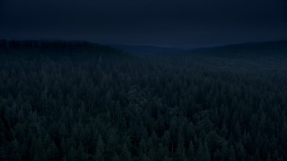 AX56_044_DFN3 - 4K day for night color corrected aerial stock footage of vast evergreen forest, reveal a hillside clear cut area in Clatsop County, Oregon