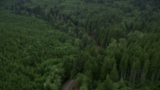 AX56_048 - 5K stock footage aerial video flyby State Route 202 through forest, Clatsop County, Oregon