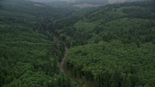 AX56_049E - 5K aerial stock footage fly over State Route 202 through evergreen forest, Clatsop County, Oregon
