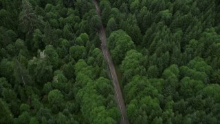 AX56_051 - 5K stock footage aerial video of bird's eye view of State Route 202 through evergreen forest, Clatsop County, Oregon