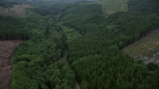 AX56_052E - 5K aerial stock footage fly over State Route 202 and evergreens near clear cut areas, Clatsop County, Oregon