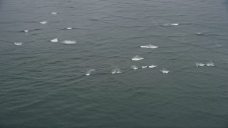 AX56_084 - 5K aerial stock footage of rolling waves on the Columbia River near Cape Disappointment, Washington